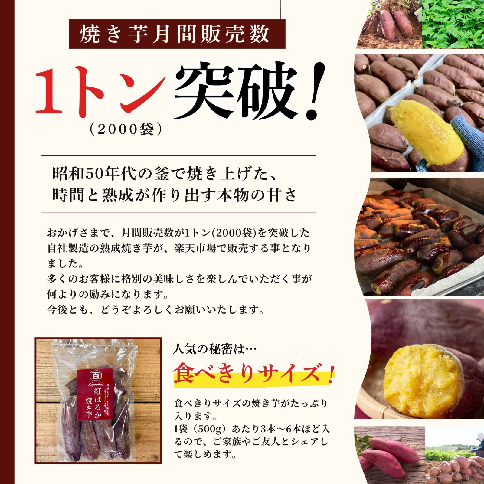 鹿児島県産 熟成 さつまいも 冷凍 焼き芋 2種【紅はるか/安納芋】1kg 無添加 蜜芋  さつまいも 干し芋 好きに 訳あり 美味しい 【冷凍】