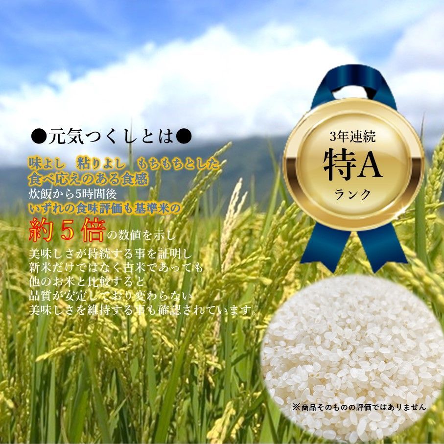 【今季入荷】元気つくし 20kg(5kg×4) 1等米 特A 令和3年 お米 安い 米/穀物