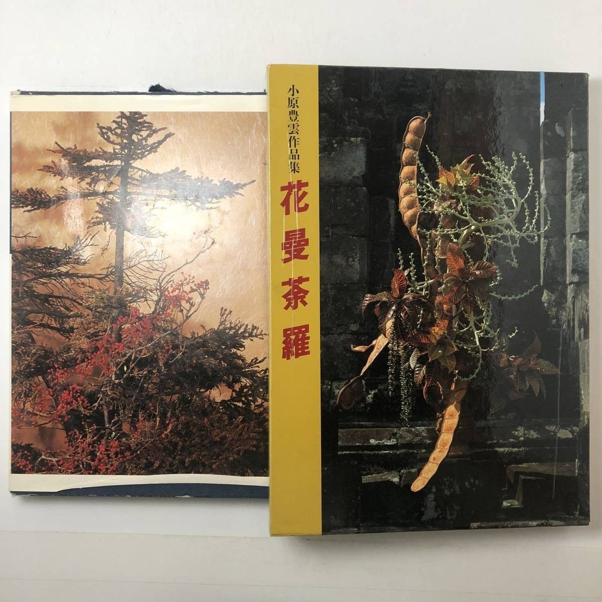 花道】「小原豊雲作品集花曼荼羅」「平 光波作品集」2冊セット