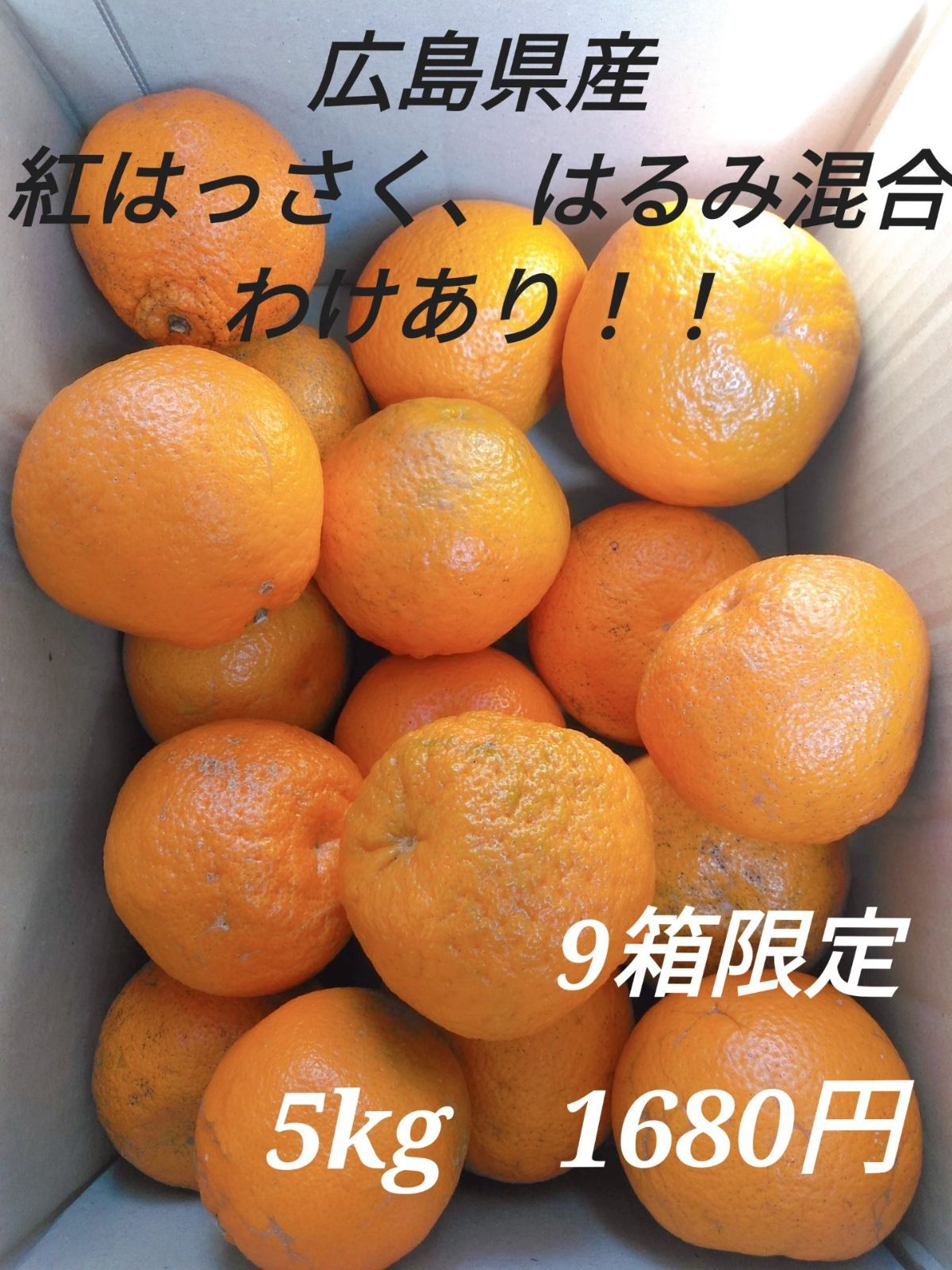 安政柑 箱込み約10㎏ 訳あり 柑橘 広島県産 引き出物 - 果物