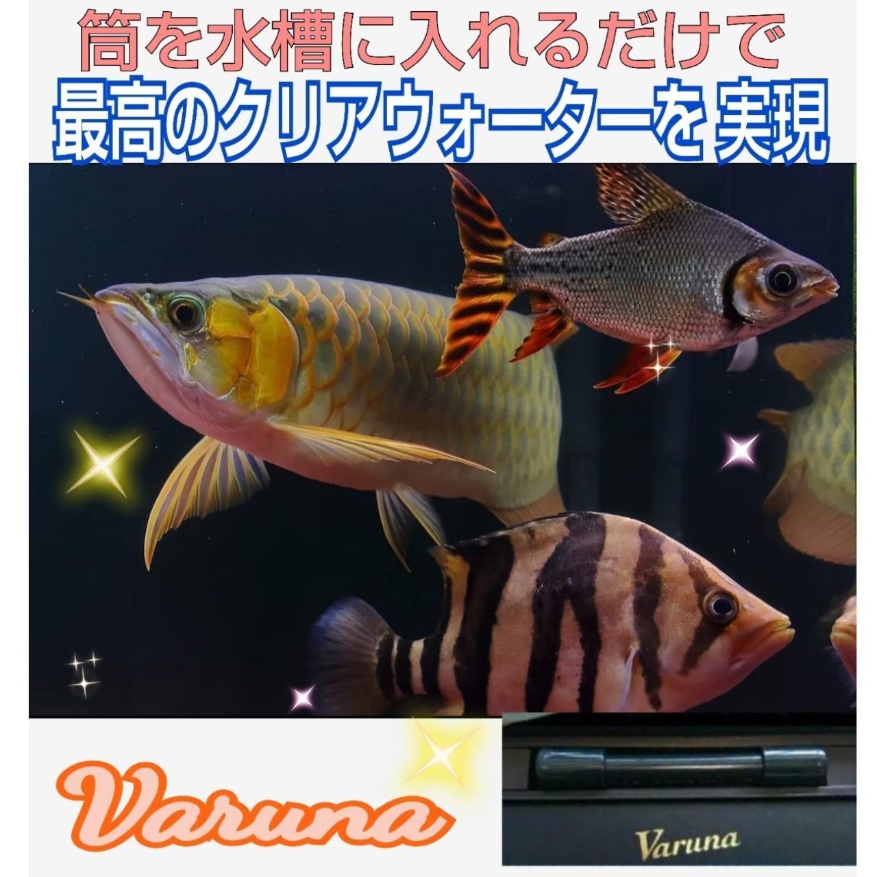 昆虫用品 らんちゅうの飼育者絶賛！水槽の水を綺麗に保つ【ヴァルナ】有害