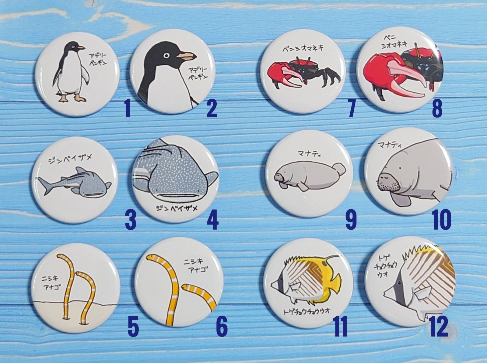 24種類から選べる 海の生物① 缶バッジ 2個セット - メルカリ