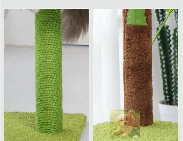 新しいシミュレーション猫小屋は熱帯雨林風に登ります