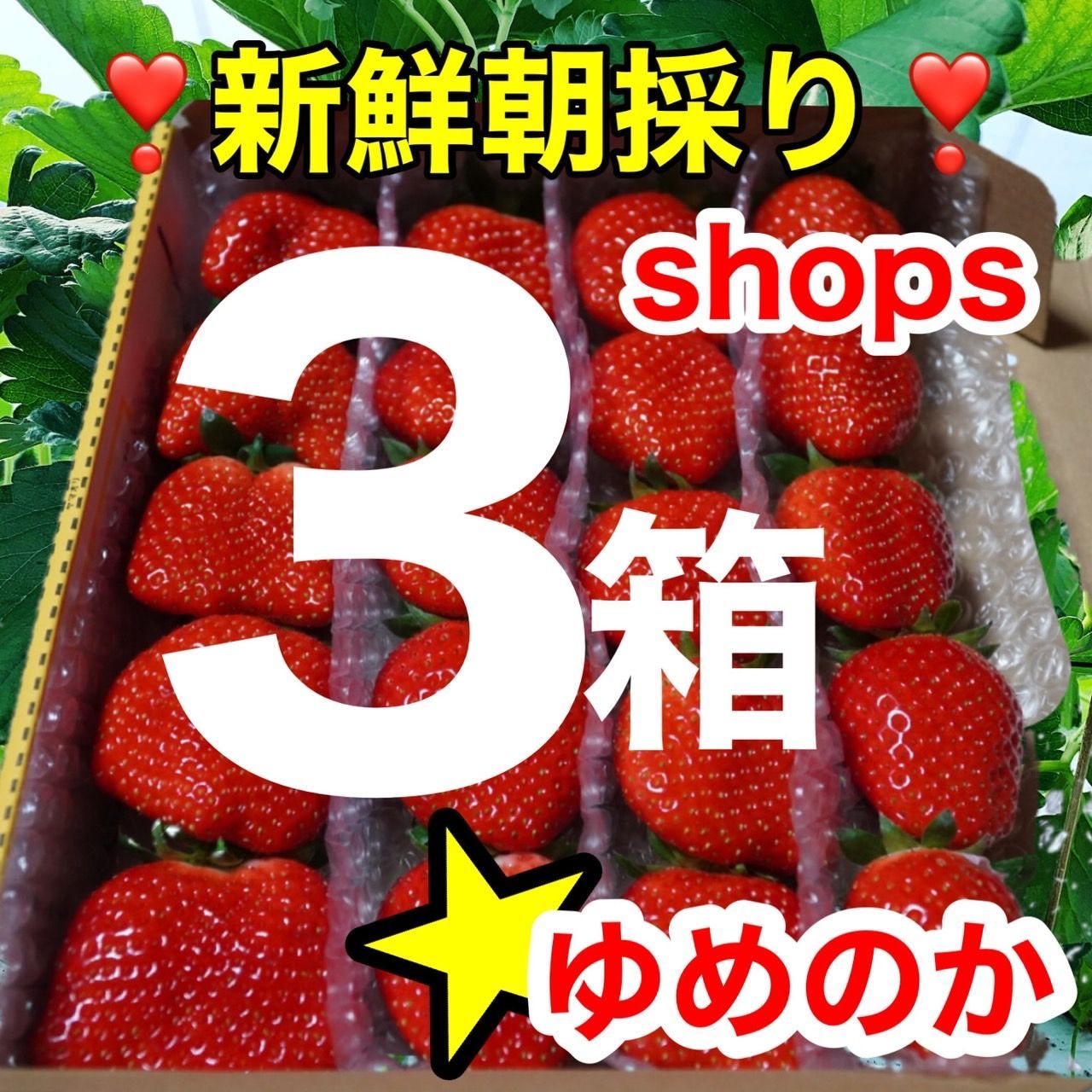 shops大粒３箱セット かんちゃん農園の甘いイチゴ - かんちゃん農園