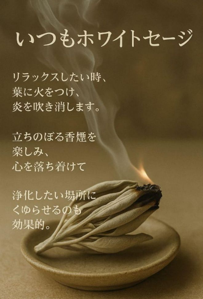 激安価格☆無農薬ホワイトセージ枝付き1kg　業務用価額ＡＡＡ 無農薬・最高級AAA】ホワイトセージ 枝付きクラスター 5g - メルカリ