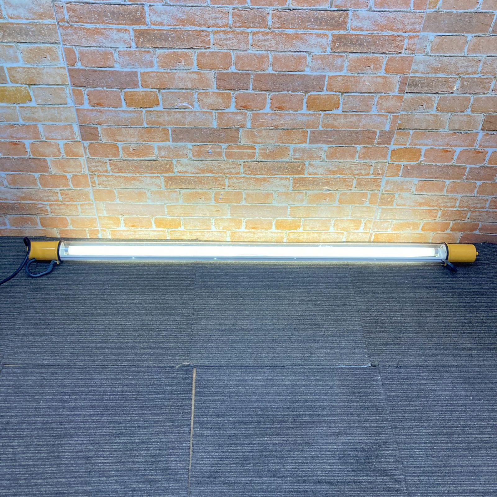 クオリティの高い 品 |60Hz地域 松下電工 屋外用 防雨型 蛍光灯作業灯 145cm 1450mm ロングタイプ 100v 60Hz EGライト ロングライト ライトバー 棒ライト I