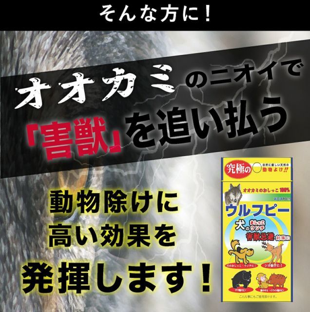シカ 16枚入り