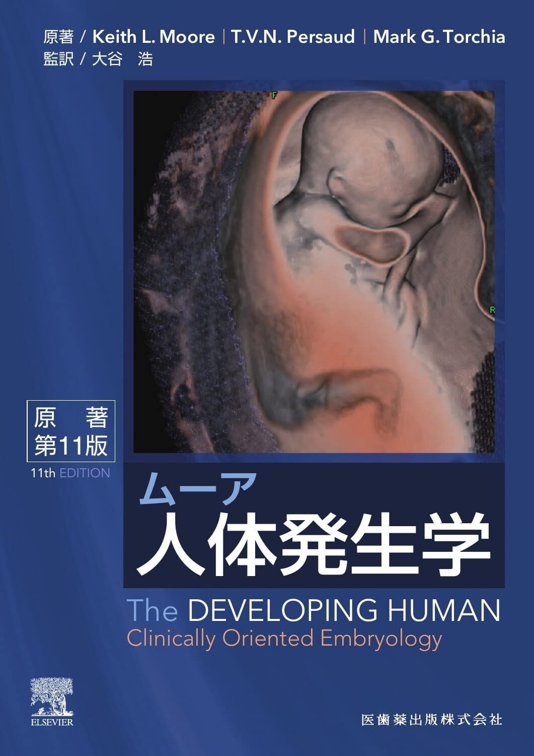 ムーア人体発生学 原著第11版