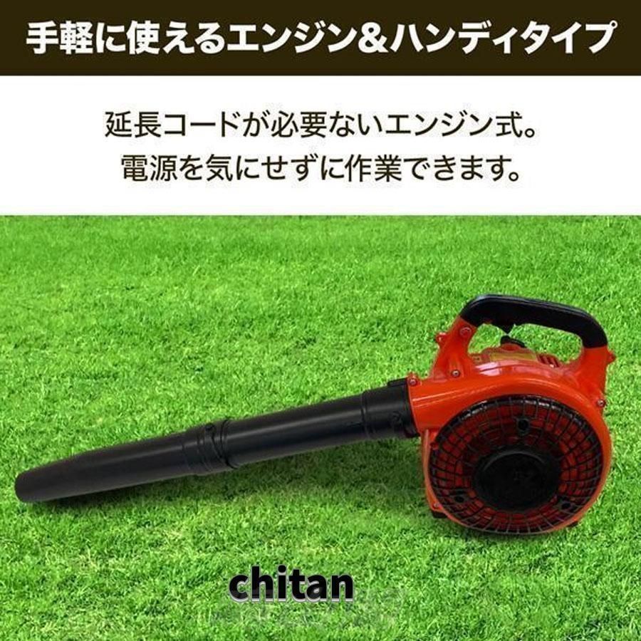 枯れ葉 吹き飛ばし