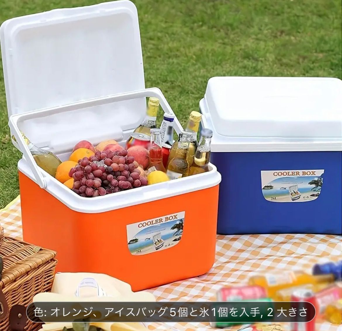 キャンプ クーラーボックス 容量 5L 保冷 保温 防水 軽い ソフト