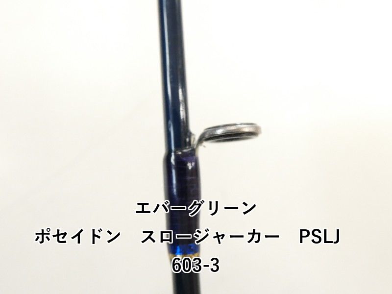 PSLJ 603