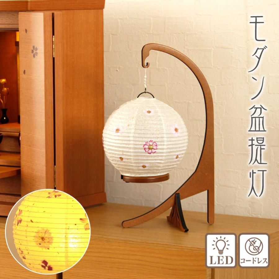 雲竜柳 完全 ドライ 50本 140～160cm おしゃれ 頼める便です