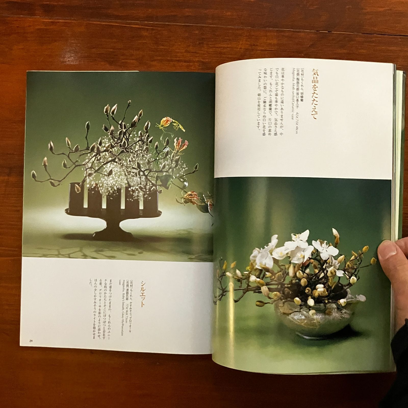 草月特選シリーズ4 いけばなを楽しむ 木と花 勅使河原茜/発行