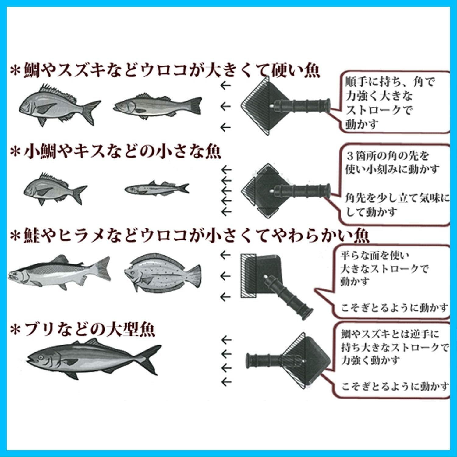 即日対応片力商事 PTYGRACE うろこ取り 新方式ウロコ取り器 鱗トル