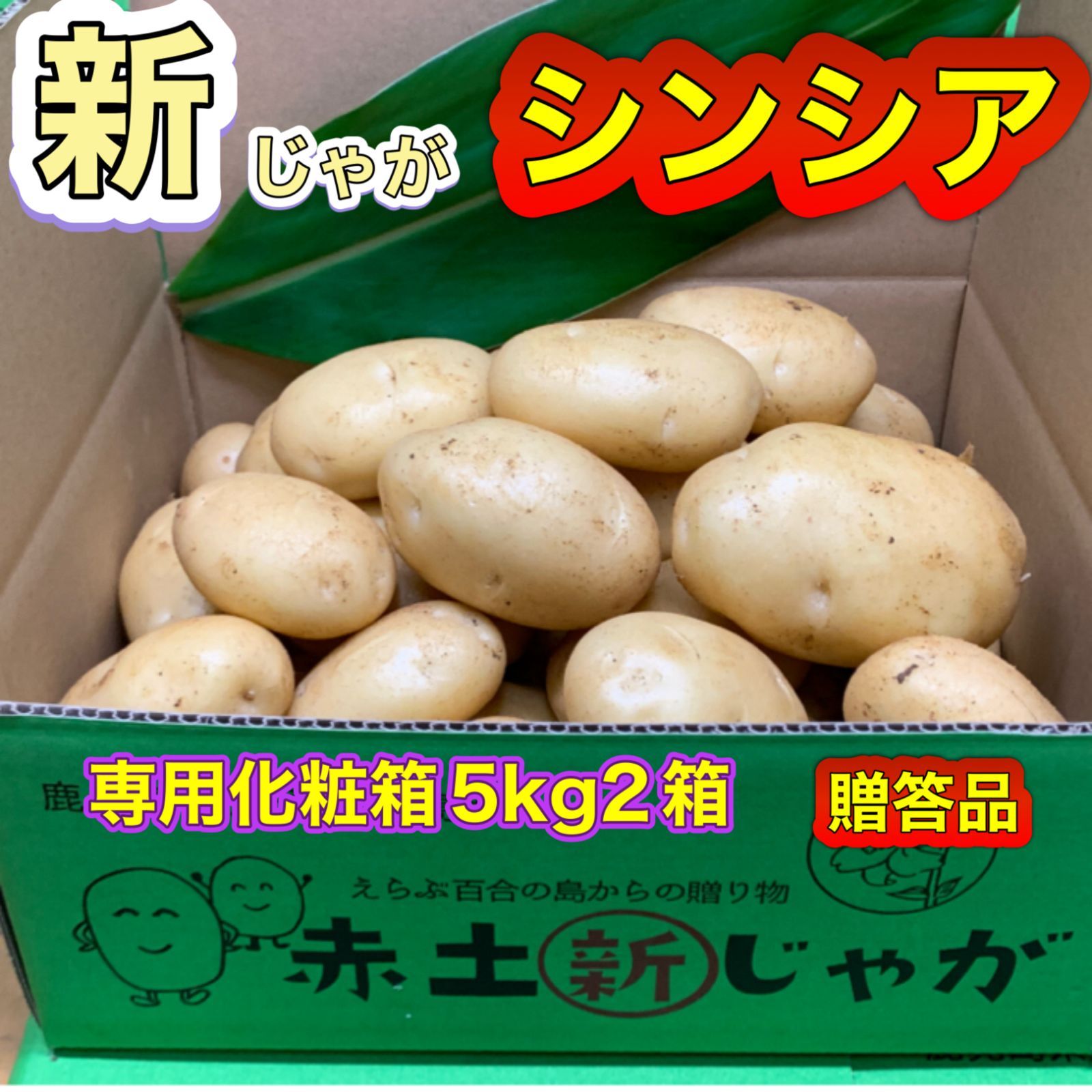 新じゃがいも シンシア １０kg 贈答品 - メルカリ