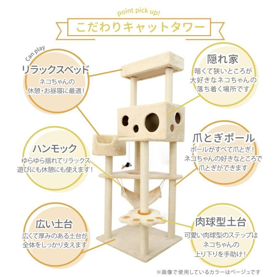 大型猫