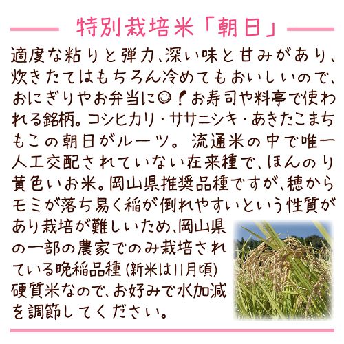 段ボール箱梱包☆令和5年産特別栽培米【朝日】5キロ - メルカリ