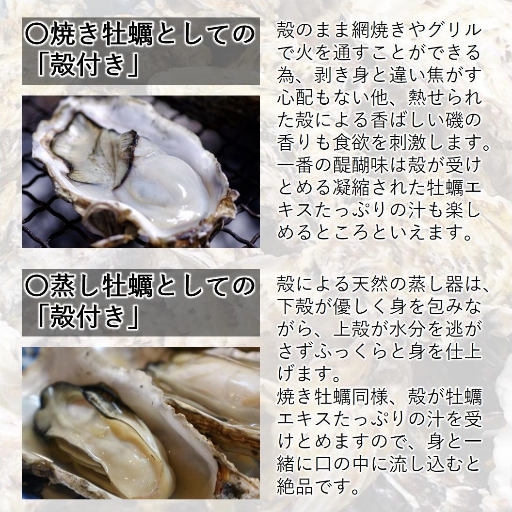 牡蠣 みちのく三陸産 殻付き牡蠣 3kg 産地直送 日持ち抜群 加熱用  亜鉛 ミネラル豊富 バーベキュー 鍋 カキフライ 焼く 揚げる 蒸す等 様々な調理に