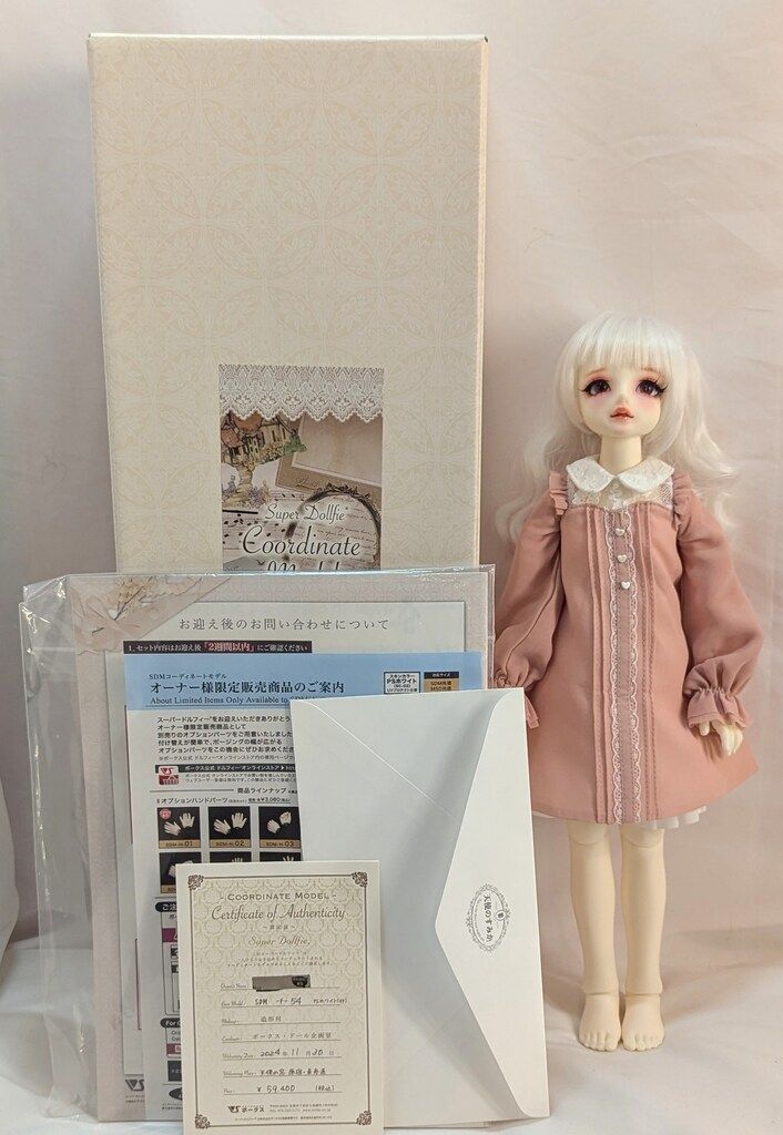 コーディネートモデル F-54