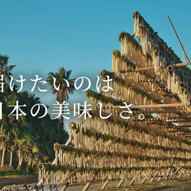 【宮崎産】天日干し　細切りぼし　3個　大根　切り干し大根　国産　宮崎産　マクロビ　自然食品　ながいき村