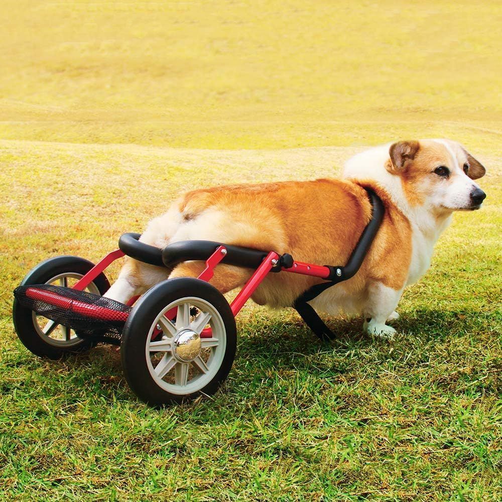 PaletteLife 犬用車椅子 ドッグウォーカー 日本製　中型犬(コーギー) Amazon | PaletteLife パレットライフ 犬用車椅子 ドッグ
