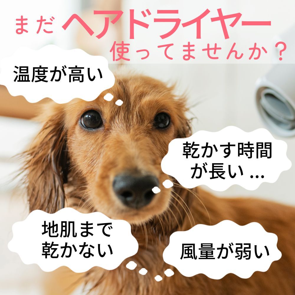 ロータイプ スタンドセット