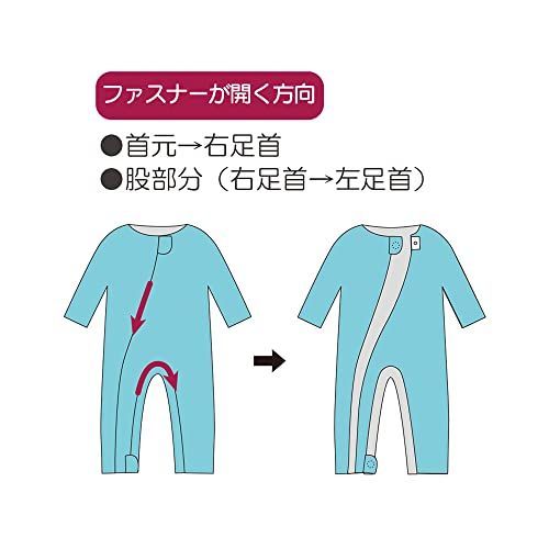 竹虎