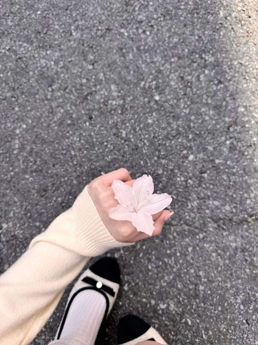 個人支払い-服