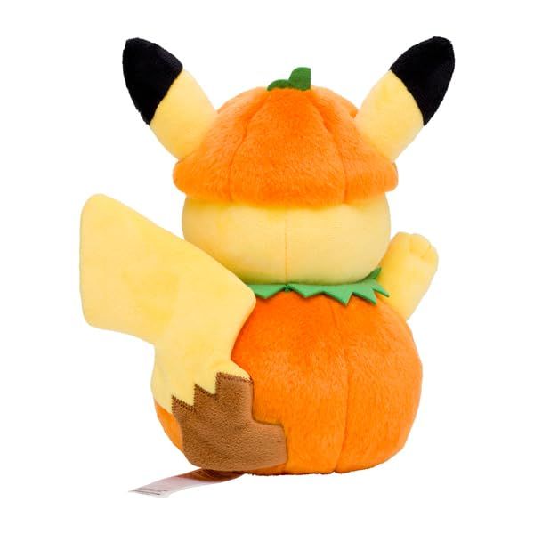㎝