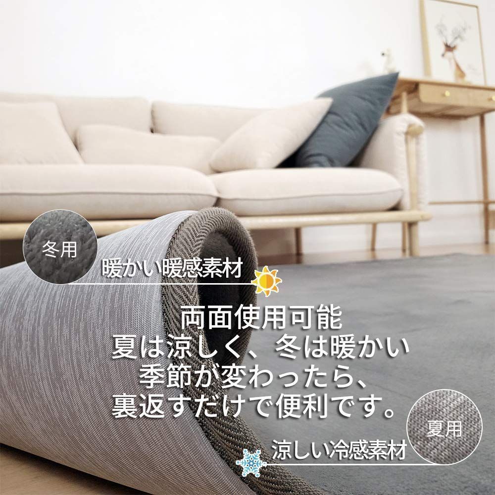 ラグ カーペット 両面 低反発 全厚約25mm ラグマット 洗える 防音