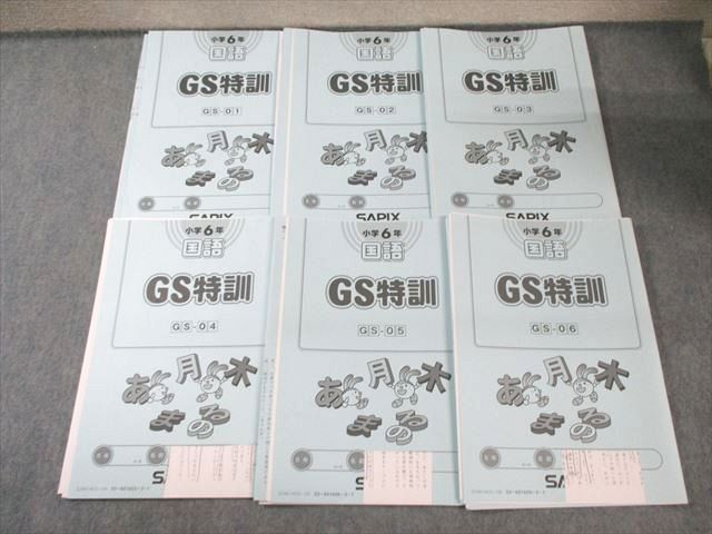 SAPIX 小6 サピックス GS特訓(GSｰ01〜06) 国語 通年セット 【計6回分】 2024 015m2D SAPIX 小6 サピックス GS特訓(GSｰ01～06) 国語 通年セット 【計6