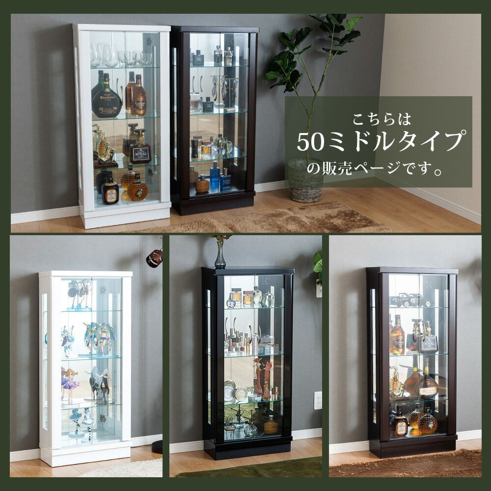 55%OFF / 1本限り】 ウィズプラン コレクションケース 大型 幅50