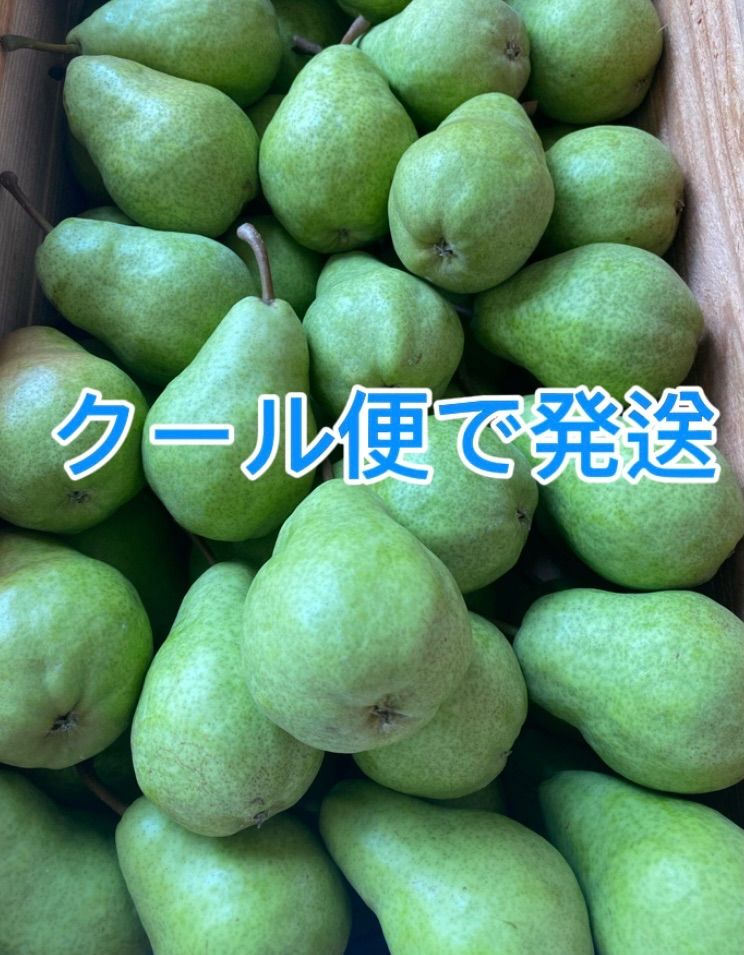 ねこ様 完熟梅4キロ クール便送料込み ねこ様 完熟梅4キロ クール便送料込み