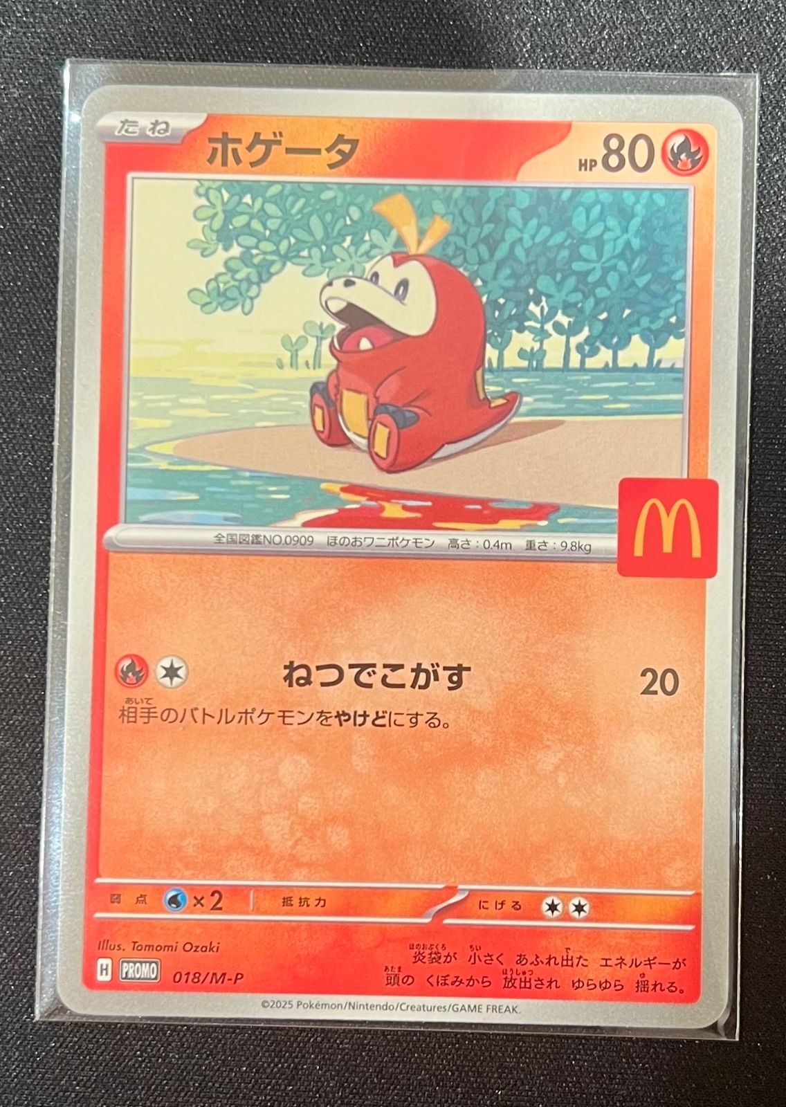 ポケモンカード　ポケカ　マック ポケモンカード ホゲータ マクドナルド マック プロモ