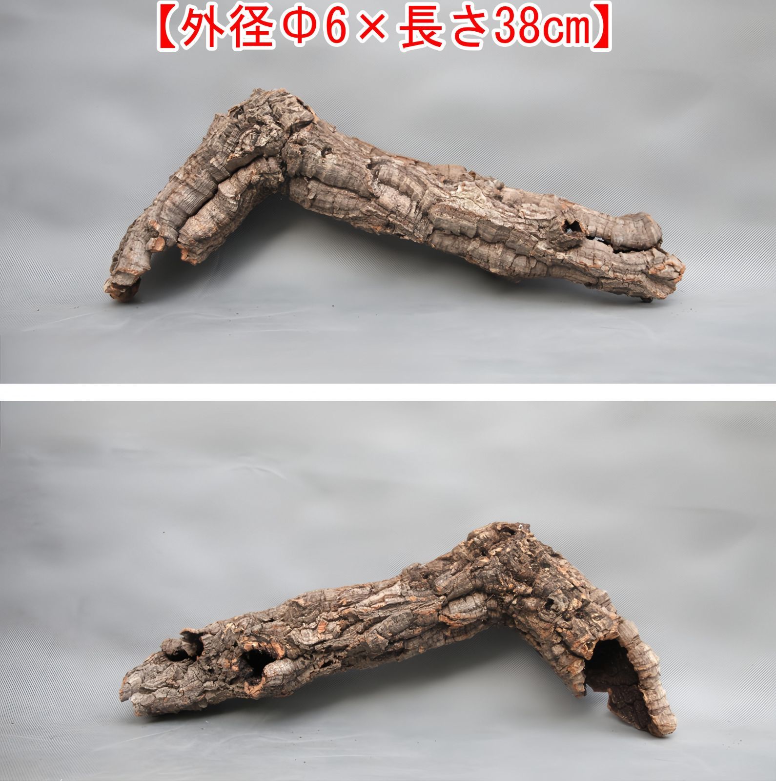 W071 ポルトガル産 コルク樹皮 キャノンコルク バージンコルク チランジア ビカクシダ 着生ラン 両生類 爬虫類