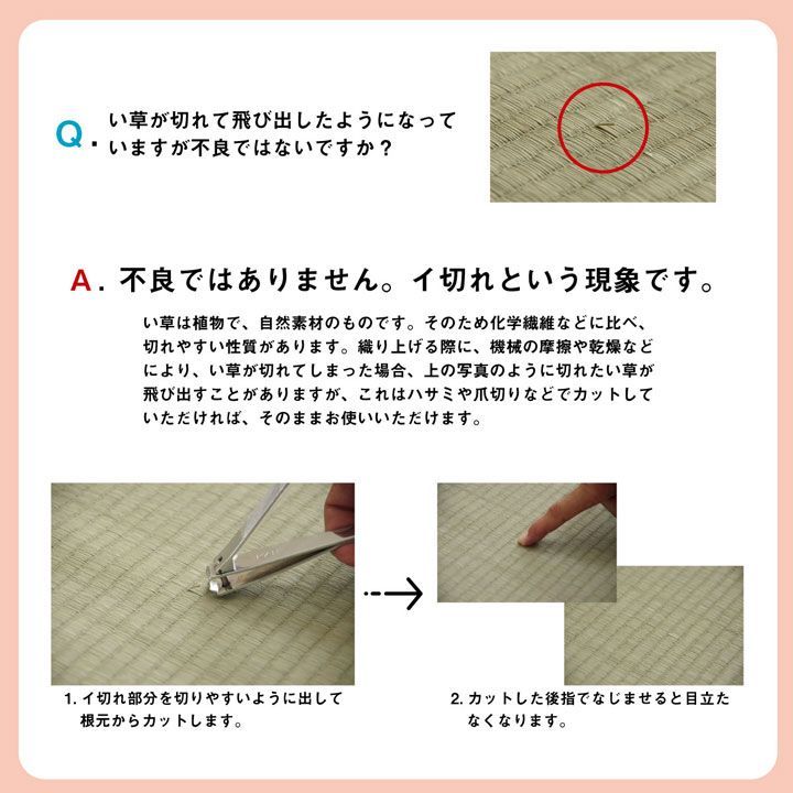 江戸間6畳