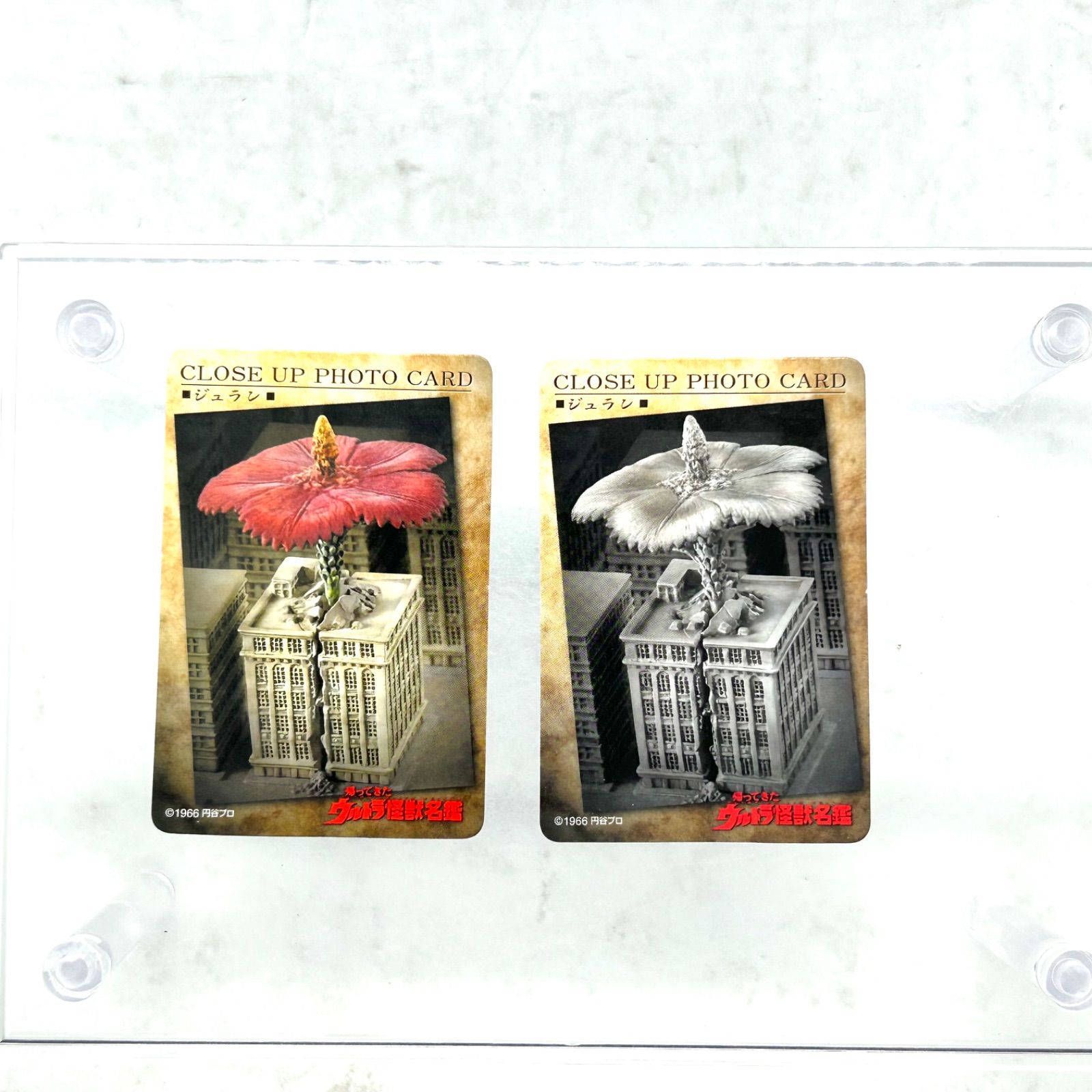 ウルトラ怪獣名鑑 ウルトラQシークレット『マンモスフラワー』モノクロ