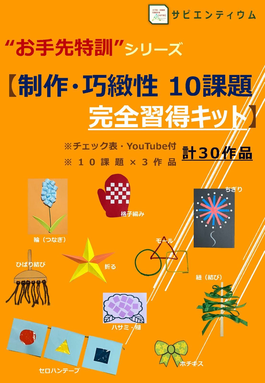 【計30作品】制作・巧緻性10課題_完全習得キット 計30作品【制作・巧緻性10課題】完全習得キット - メルカリ