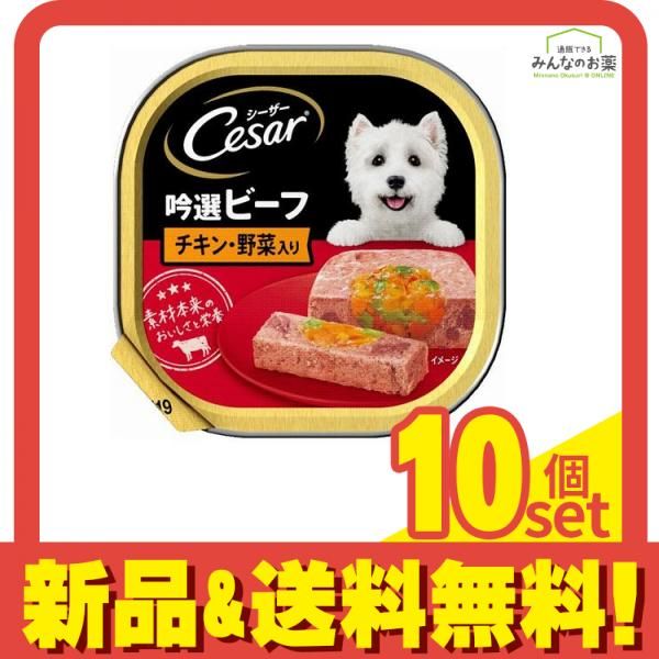 シーザー トレイ 吟選ビーフ チキン 野菜入り ふわふわローフタイプ 100g 10個セット