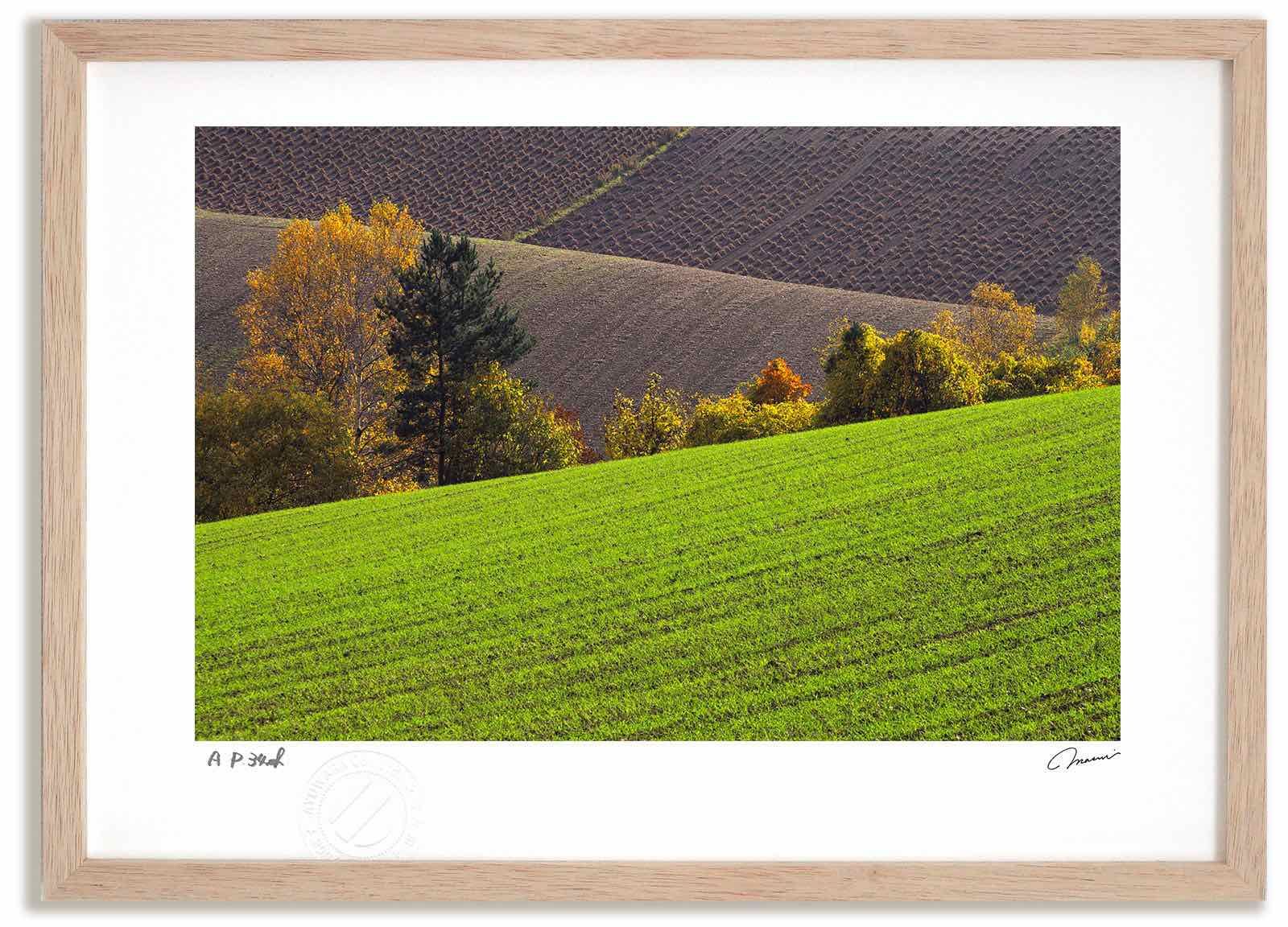 希少 60s vintage キネティック ボールツリー ミッド