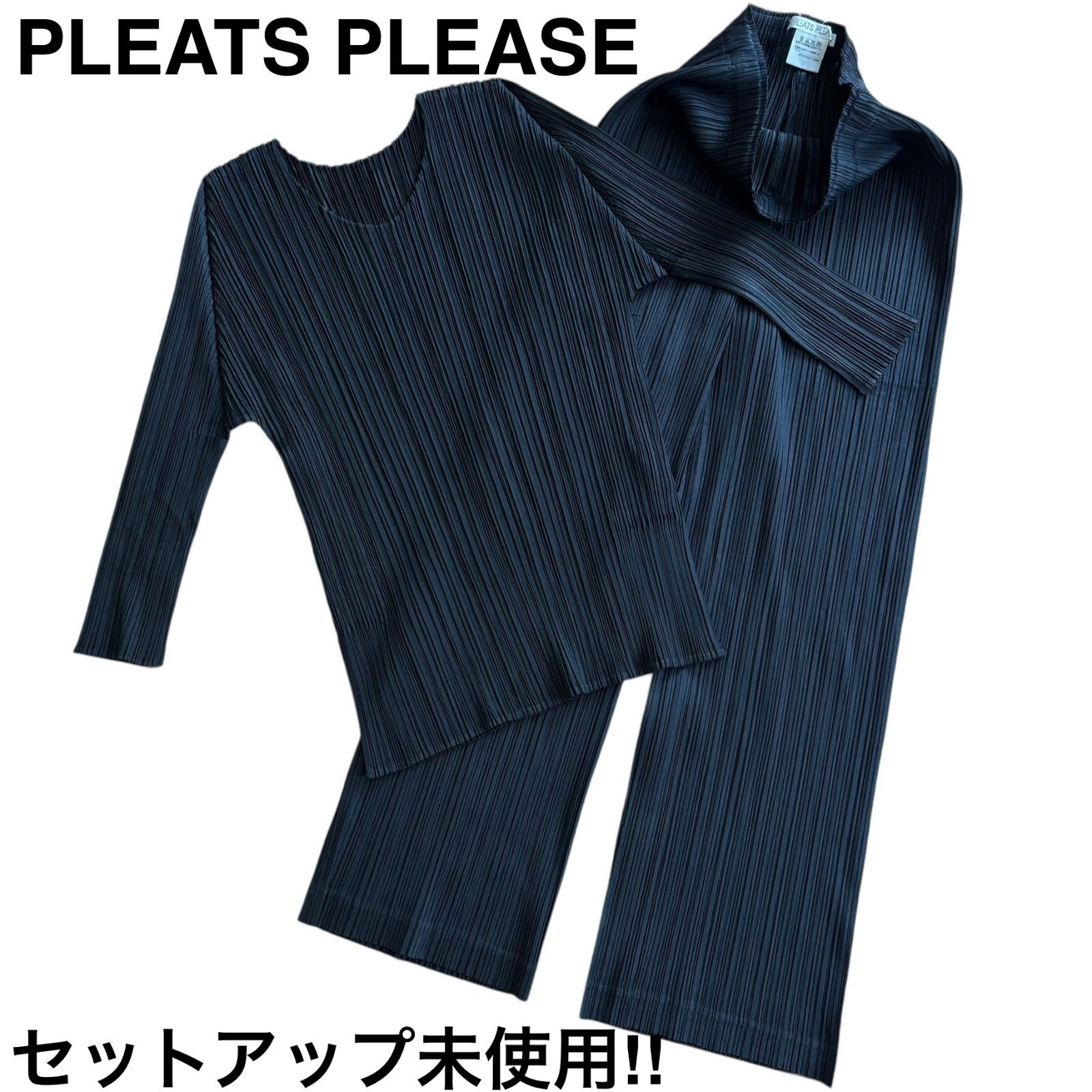 【極美品】プリーツプリーズ　イッセイミヤケ　セットアップ　ブラック　サイズL イッセイミヤケ ISSEY MIYAKE 未使用！ プリーツプリーズ