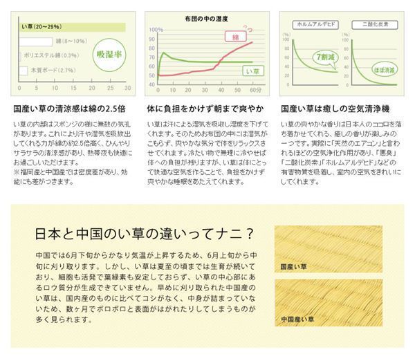 添島勲商店 国産 い草花ござ 紋織 本間2畳 約190×190cm 訳あり - メルカリ