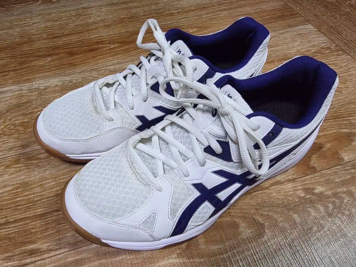 アシックス リーブ CF 白男 265 体大入試 室内スポーツ