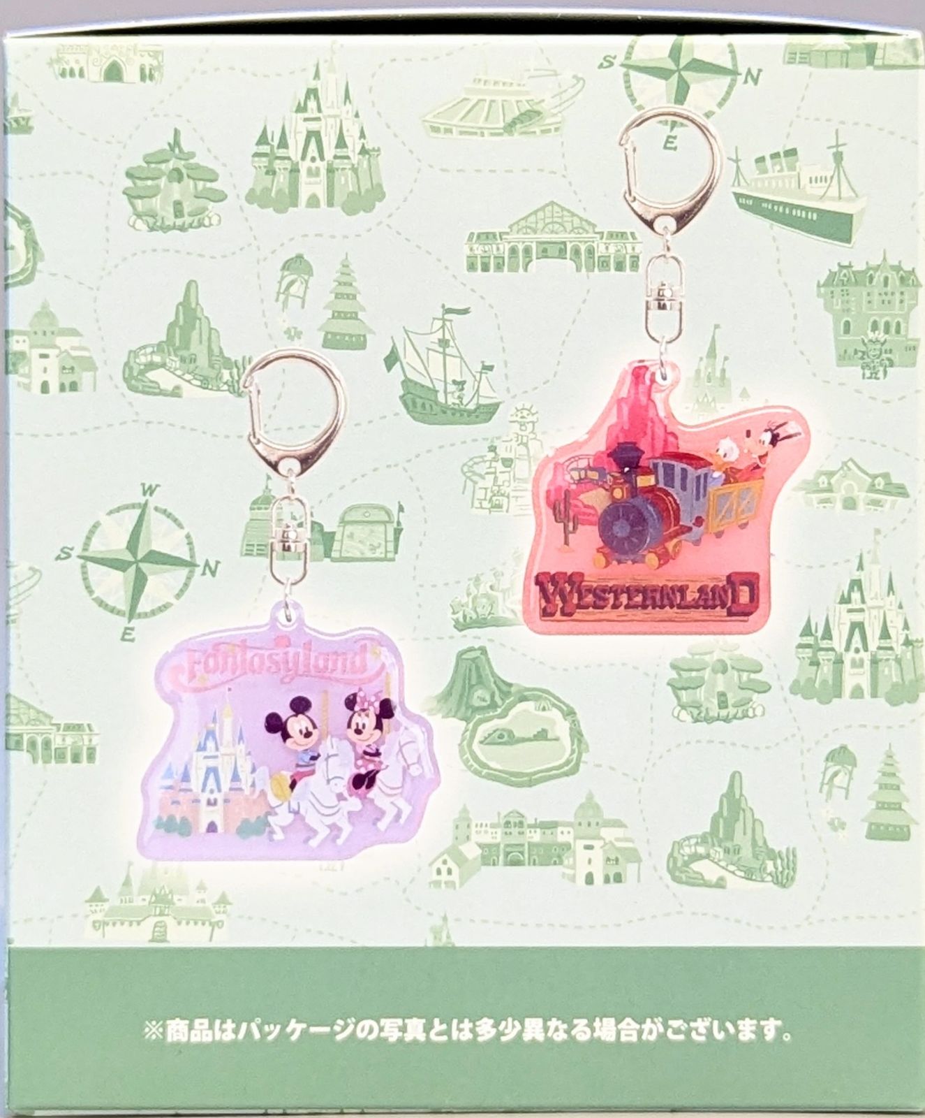 BGS9.5 チコリータ・ベイリーフ・メガニウム レンチキュラー 3D