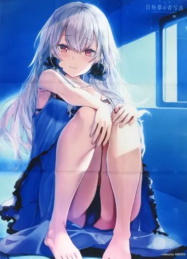 アニメイト限定白昼夢の青写真 世凪 マルチクロス アニメイト限定白昼夢の青写真 世凪 マルチクロス - メルカリ