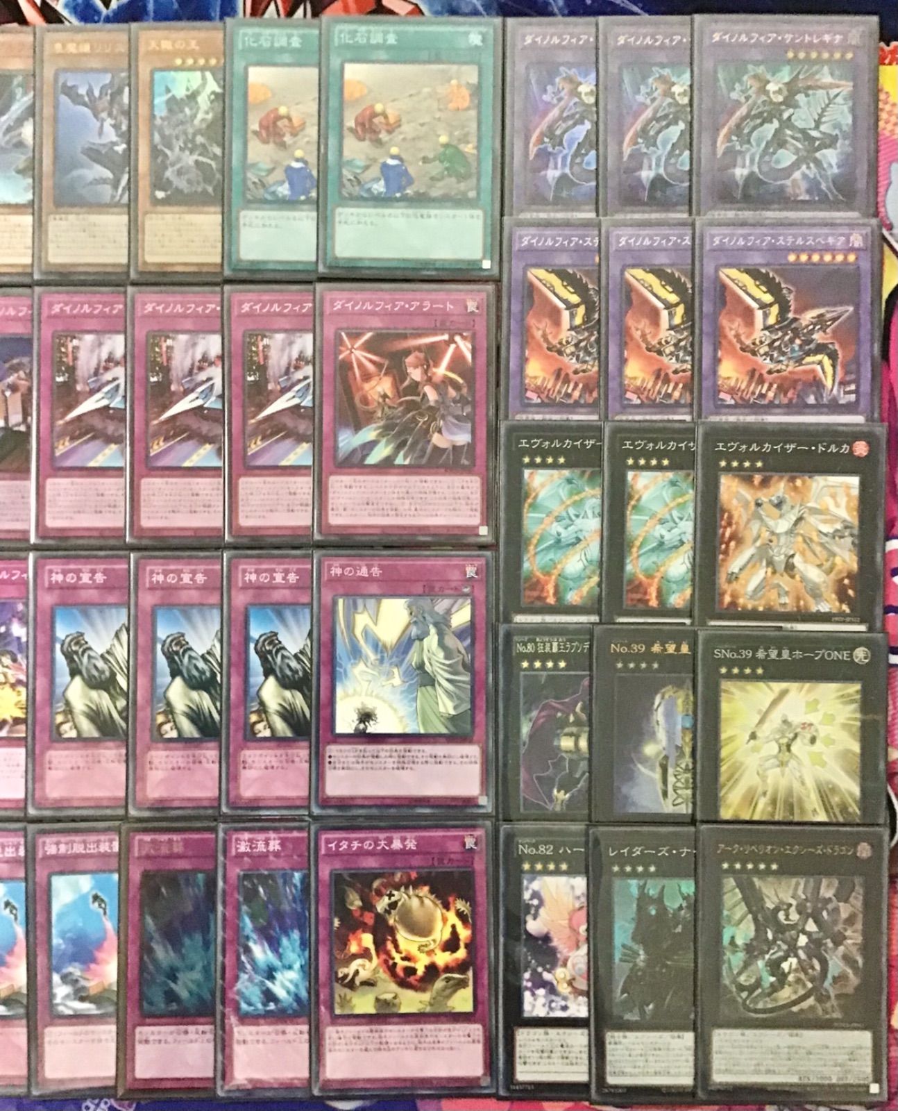 本格構築！ダイノルフィアデッキ！　40＋15 遊戯王 本格構築！ダイノルフィアデッキ!! - メルカリ