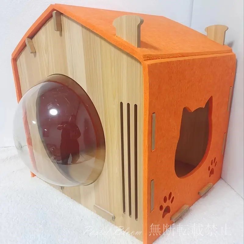 小型猫