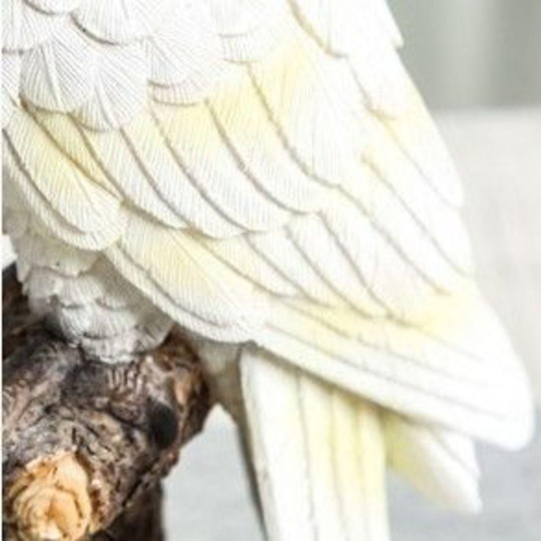 【♥︎】新品 置物 木に止まる鳥 新品 置物 木に止まる鳥 置物です カントリー風 ガーデン