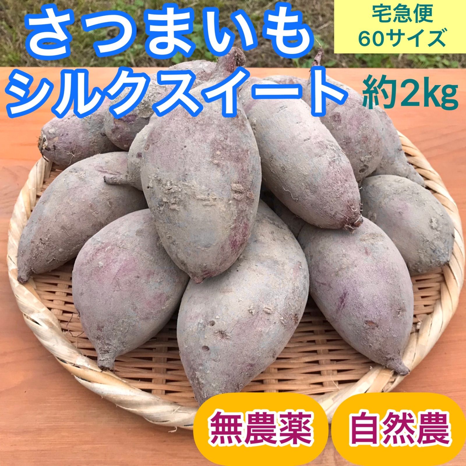 無農薬！さつまいもシルクスイート - 野菜