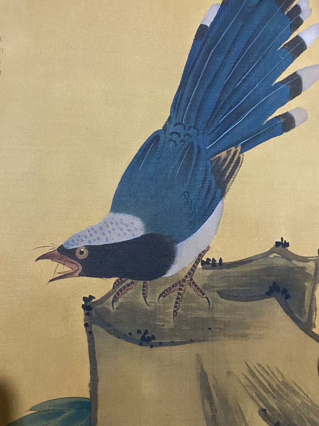 中国古美術.精品三尺中堂画.趙佶花鳥画.手描きの作品.実物撮影?材質